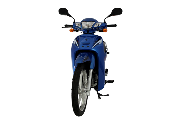 Mondial 100 MFM Cub