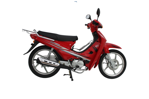 Mondial 100 MFM Cub