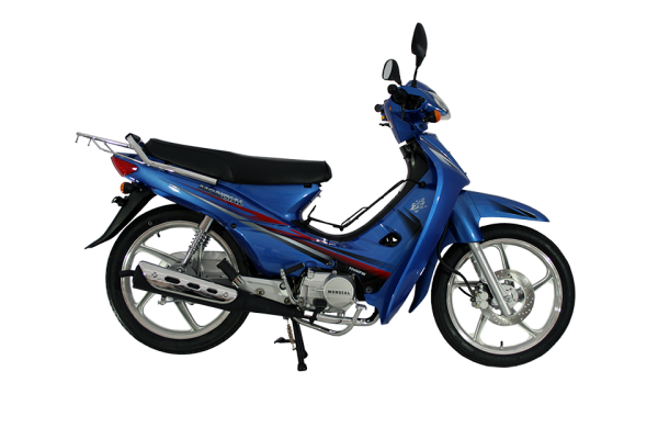 Mondial 100 MFM Cub