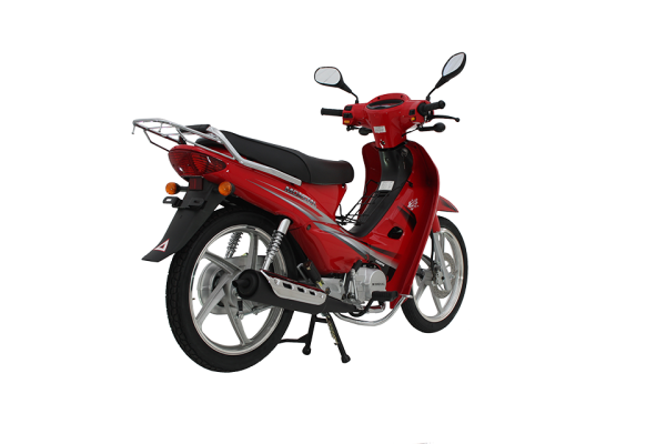 Mondial 100 MFM Cub