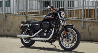 Harley Davidson 883 Roadster Chopper