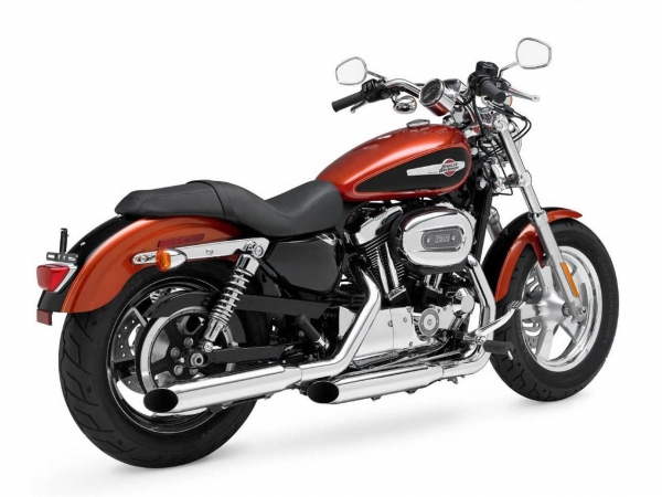 Harley Davidson 1200 Custom Chopper