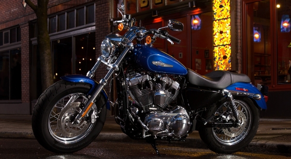 Harley Davidson 1200 Custom Chopper