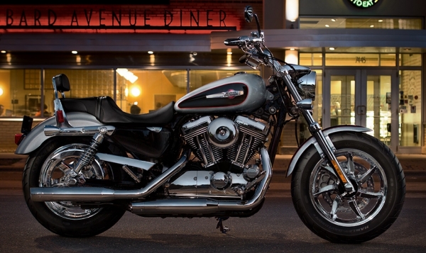 Harley Davidson 1200 Custom Chopper
