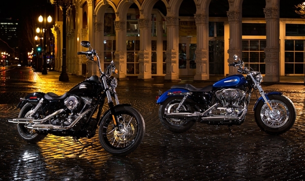 Harley Davidson 1200 Custom Chopper