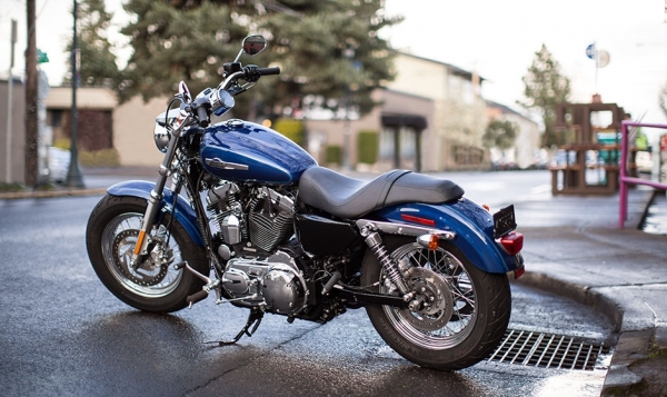 Harley Davidson 1200 Custom Chopper