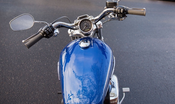 Harley Davidson 1200 Custom Chopper