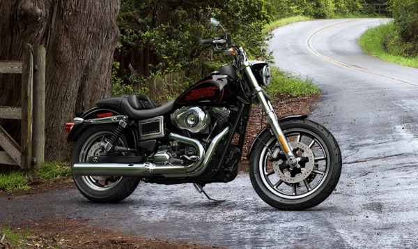Harley Davidson Low Rider Chopper