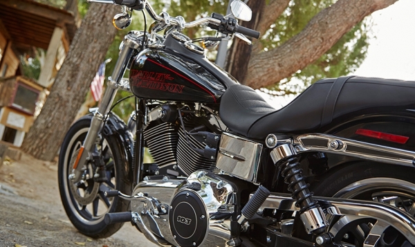 Harley Davidson Low Rider Chopper