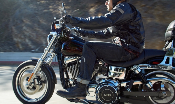 Harley Davidson Low Rider Chopper