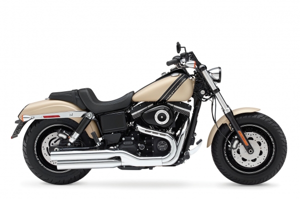Harley Davidson Fat Bob Chopper