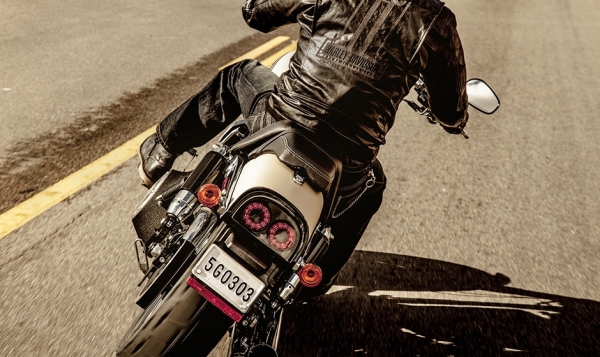 Harley Davidson Fat Bob Chopper