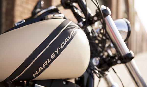 Harley Davidson Fat Bob Chopper