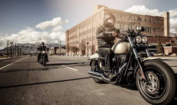 Harley Davidson Fat Bob Chopper