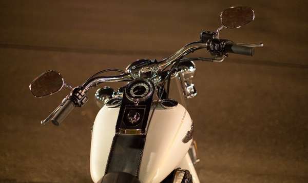 Harley Davidson Softail Deluxe Chopper