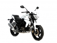 SYM Wolf SB 250 Ni resim