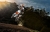 KTM 50 SX Mini Enduro