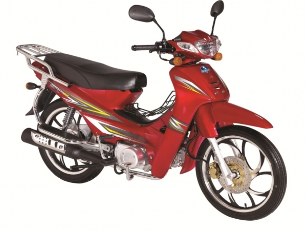 Bisan ROADSTAR Cub 100 Cub