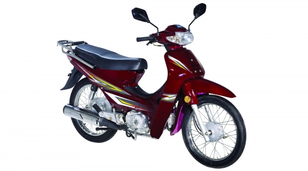 Bisan ECO CUB 100S Cub