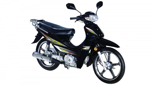 Bisan ECO CUB 100PRO Cub