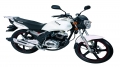 Bisan ATLAS CGR 125cc resim