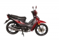 Lifan SHOWING 125