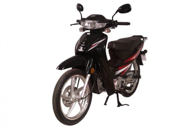 Lifan TAY 100 (L) Cub