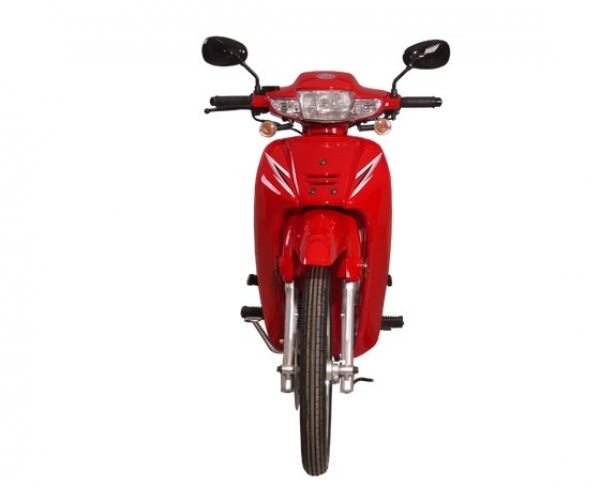 Lifan TAY 100 (L) Cub
