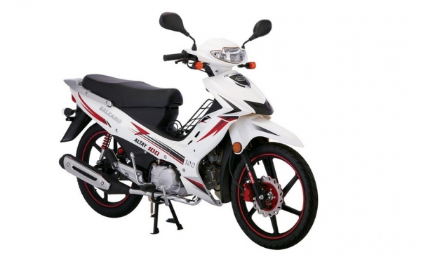 Salcano ALTAY 100 Cub