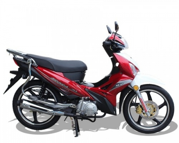 Arora AR 100-B Cub