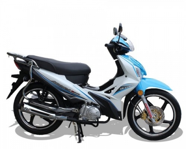 Arora AR 100-B Cub