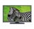 Regal LE99F5241S Full HD (FHD) TV