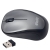 Hello HL-18741 Mouse