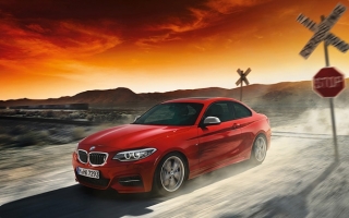 2015 BMW 220d Coupe 2.0 190 BG Otomatik