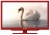 Sunny 23" Lavita Uydu Alıcılı (Kırmızı) HD Ready (HD) TV