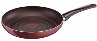 Tefal Titanium Pleasure Tava 24 cm