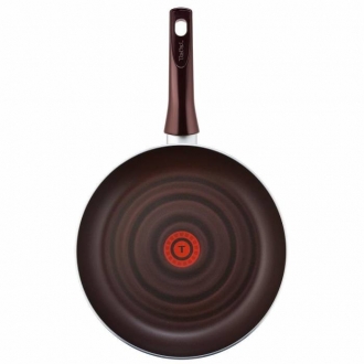 Tefal Titanium Pleasure Tava 24 cm
