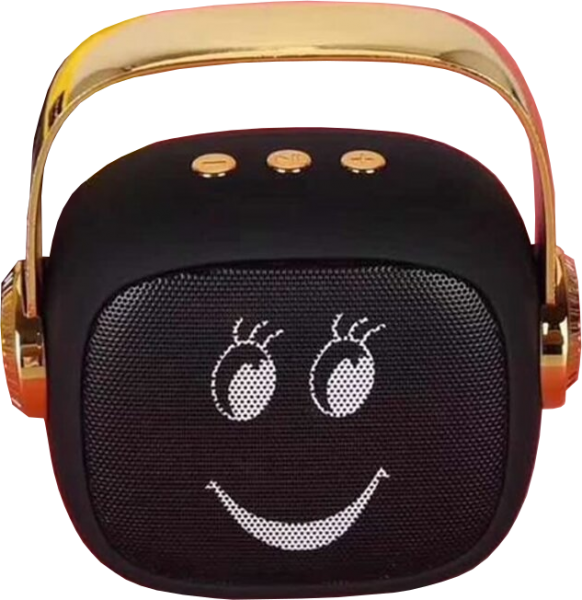 Platoon PL-4190 Bluetooth Hoparlör