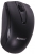Polygold PG-904 Mouse