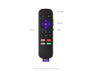 Roku Streaming Stick+ Medya Oynatıcı