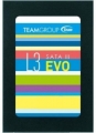 Team Group L3 EVO 120 GB (TT253LE120GTC101) SSD
