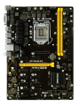 Biostar TB250-BTC Pro resim