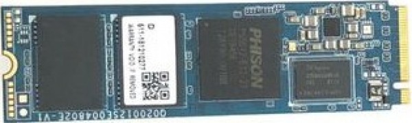 Pioneer APS-SE20G-256 SSD