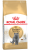Royal Canin British ShortHair Adult 400 Gr Kedi Maması