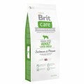 Brit Care Somonlu Patatesli Tahılsız Yetişkin 3 kg resim
