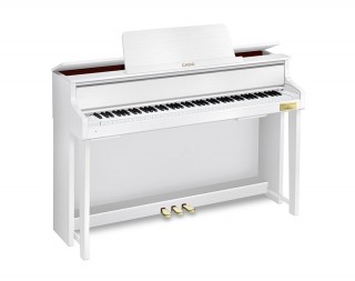 Casio GP-300