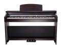 Medeli DP-388 resim
