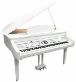 Medeli Grand 500
