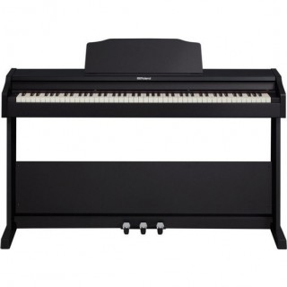 Roland RP-102