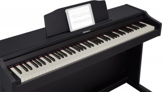 Roland RP-102